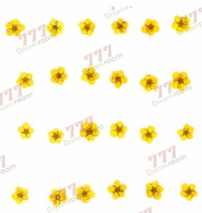 送料無料☆本物 押し花素材 ハンドメイド 花材 DR2240F　ネイル用押し花　小花　黄色