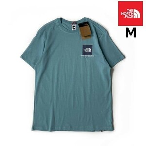 1円～!売切!【正規新品】THE NORTH FACE◆SMALL BOX SS 半袖 Tシャツ US限定 ボックスロゴ 男女兼用 登山 アウトドア(M)水色 青 180902-20