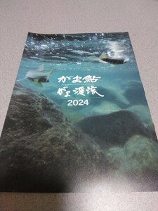 がまかつ　鮎　渓流カタログ2024