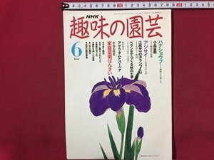 ｓ◆　平成3年　NHK 趣味の園芸 6月号　ハナショウブ 他　日本放送出版局　書籍のみ　書籍　雑誌　/M99