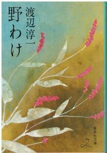 （古本）野わけ 渡辺淳一 集英社 W00163 19791125発行