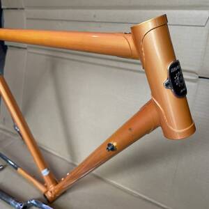 MIYATA PROFESSIONAL Tange Champion ミヤタ 70年代 クロモリ ミヤタプロフェッショナル