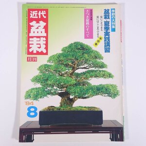 月刊 近代盆栽 No.82 1984/8 近代出版 雑誌 盆栽総合誌 園芸 ガーデニング 植物 特集・盆栽・夏季実践講習 さつき盆栽のすべて ほか