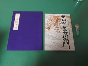 出M3628★　市川海老蔵　パンフ　2冊　源氏物語　第二章、石川五右衛門　送料198円