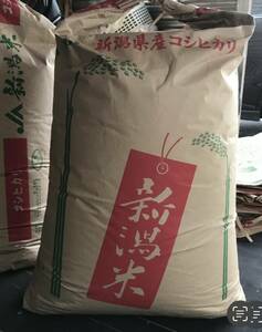 超美味しい〜令和6年 ☆ 新米 新潟産 コシヒカリ 24kg　