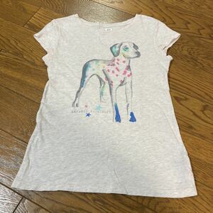 GAP 半袖Tシャツ 140センチ　女の子　キラキラ　犬　夏服