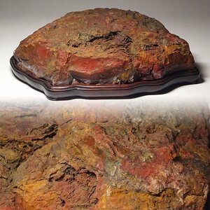 花◆著名水石家愛蔵の銘石！ 佐渡赤玉石 羽茂五色石 島形石 31×21cm 水石 鑑賞石 唐木製台座 御仕立て箱 盆栽盆景水盤盆器