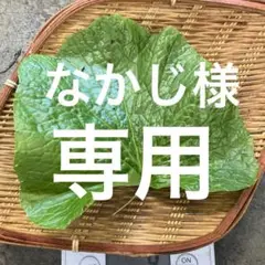 なかじ様専用