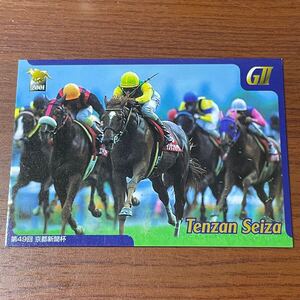 競馬トレカ サラブレッドカード 2001年 テンザンセイザ 025