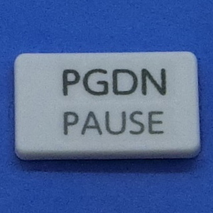 キーボード キートップ PGDN PAUSE 白消 パソコン 東芝 dynabook ダイナブック ボタン スイッチ PC部品