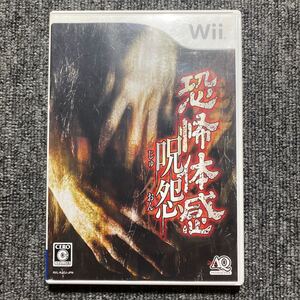 Wii 恐怖体感 呪怨