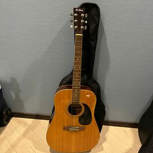 Pro Martin プロマーチン アコースティックギター