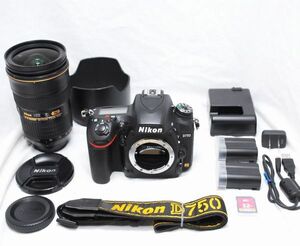 【超美品 8796ショット・豪華セット】Nikon ニコン D750 AF-S NIKKOR 24-70mm f/2.8 G ED