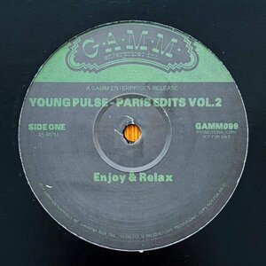 【G.A.M.M.】Young Pulse / Paris Edit Vol.2 (2015年, Spinners It