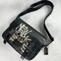 【極美品 激レア 入手困難】COACH バスキア ローグ メッセンジャーバッグ