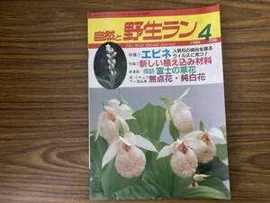 自然と野生ラン 1988年4月号　エビネ　新しい植え込み材料 /Z302