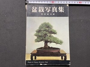 ｓ◎◎　昭和37年　盆栽写真集　村田憲司　加島書店　書籍　　　/ E17