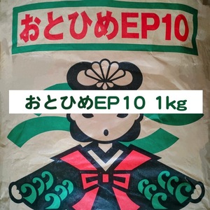 日清丸紅飼料 おとひめEP10 1kg ※送料無料※