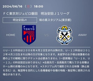 FC東京vs磐田 ホーム自由席チケット