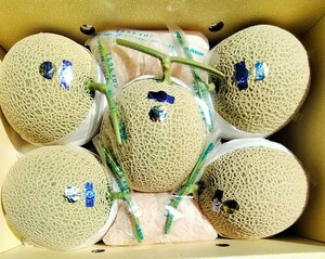 ☆高知産　☆約１０，０Kg☆　マスクメロン　５玉入り　☆　A品　☆ミネラルメロン　　美品☆