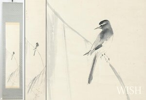 【真作】【WISH】荒木十畝「鶺鴒」日本画 掛軸 二重箱 森白甫鑑定箱 　　〇花鳥画重鎮 帝国美術院会員 師:荒木寛畝 #24110140