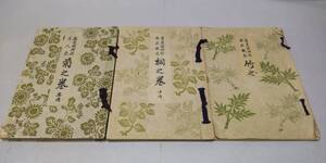 100円 古書☆ 華道 活け花 昭和23(1948)/26(1951)年発行 非売品 旧嵯峨御所華道総司所 嵯峨御流 教本 竹之巻・桐之巻・菊之巻 3冊 生け花