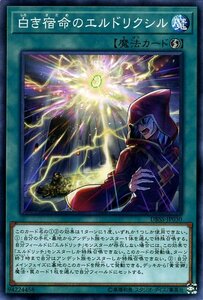 遊戯王カード 白き宿命のエルドリクシル ノーマル シークレット・スレイヤーズ DBSS 速攻魔法 ノーマル