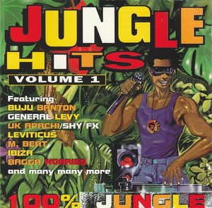 01-30★送料無料★ケース無し★V.A.★JUNGLE HITS VOLUME 1★100% JUNGLE★1994年★BUJU BANTON★GENERAL LEVY★IBIZA★BAGGA WORRIES★