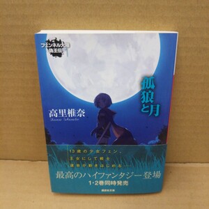 孤狼と月 （講談社文庫　た９５－１４　フェンネル大陸偽王伝　１） 高里椎奈／〔著〕