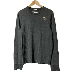 Abercrombie&Fitch アバクロンビー&フィッチ Tシャツ 長袖 袖ロゴ M チャコールグレー ロンT メンズ A3