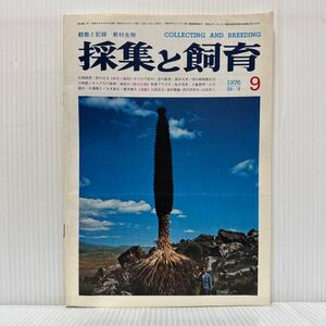 採集と飼育 1976年9月号★プヤ ライモンディ/アサガオ/生物の知識・観察と実験/動植物