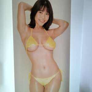 伊織いお 等身大 ポスター (約180×60㎝) OILYガールズ ビキニ ヌルヌルボディー ハミ乳 水着 アサ芸シークレット 徳間書店 未使用品