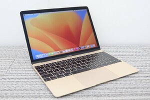 N-1【2017年！core i5】Apple / MacBook A1534(Retina,12-inch,2017) / CPU：core i5-1.3GHz / メモリ：8G / SSD：256G