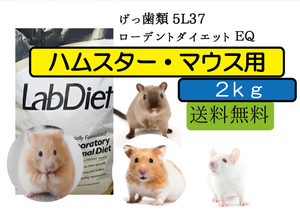 【★大特価セール中】2ｋｇ【ハムスター、マウス用 エサ】ローデントダイエット ＥＱ　 5L37 Lab Diet