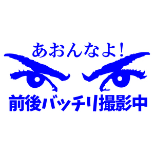 あおり防止 ステッカー 【 あおんなよ 前後バッチリ撮影中 】【青】 車用 カッティングステッカー ドラレコ搭載車用 交通安全 防水