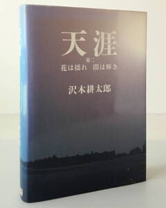 天涯　第2 (花は揺れ闇は輝き)／沢木耕太郎 著