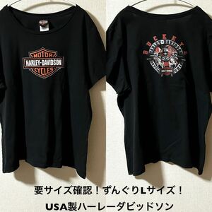 ずんぐりLサイズ！USA製ハーレーダビッドソン 古着半袖Tシャツ 黒 要サイズ状態確認！ HARLEY-DAVIDSON BUCKEYE