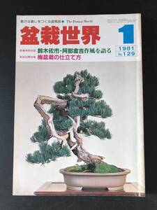 盆栽世界　１９８１　１月　No129