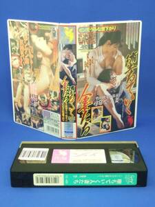 堕ちていく人妻たち インモラルな昼下がり [VHS] (1999)