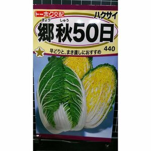 ３袋セット 郷秋 白菜 50日 種 郵便は送料無料 ハクサイ