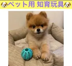 犬用 猫用 噛むおもちゃ 歯磨きボール 大小2個セット ラバー製 イエロー