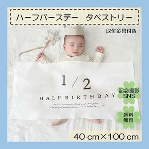 ハーフバースデー　タペストリー　1/2 誕生日　赤ちゃん　お祝い