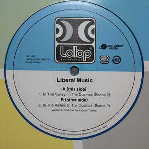 LIBERAL MUSIC / IN THE VALLEY,IN THE COSMOS /KAZUMI TOTAKA/戸高一生/とたけけ/あつまれ どうぶつの森/竹村延和/TAKEMURA NOBUKAZU