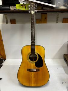 Pro Martin W250 アコースティックギター