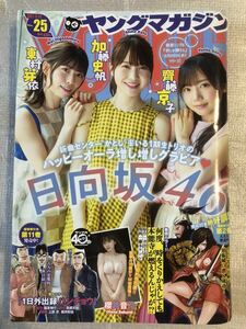 2021/5/31　25号　週刊ヤングマガジン　東村芽依　加藤史帆　齋藤京子　櫻井音乃　