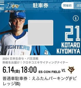 6/14(金) 北海道日本ハムファイターズ VS 巨人 交流戦　エスコンフィールド　普通車　駐車券えふたんパーキング (Fビレッジ隣)