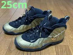 Nike Air Foamposite Pro 25cm ゴールド×ブラック