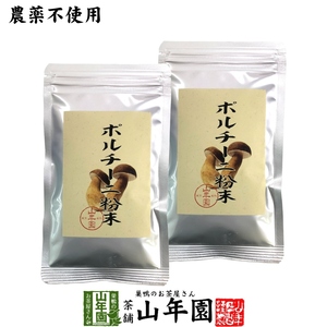 【本場イタリア産無農薬100%】 ポルチーニ茸の粉末 40g×2袋セット 送料無料