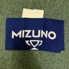 非売品 MIZUNO M-LINE ノベルティ ミズノ 手ぬぐい