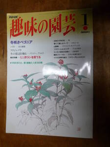 NHK趣味の園芸 1994年1月号（中古）